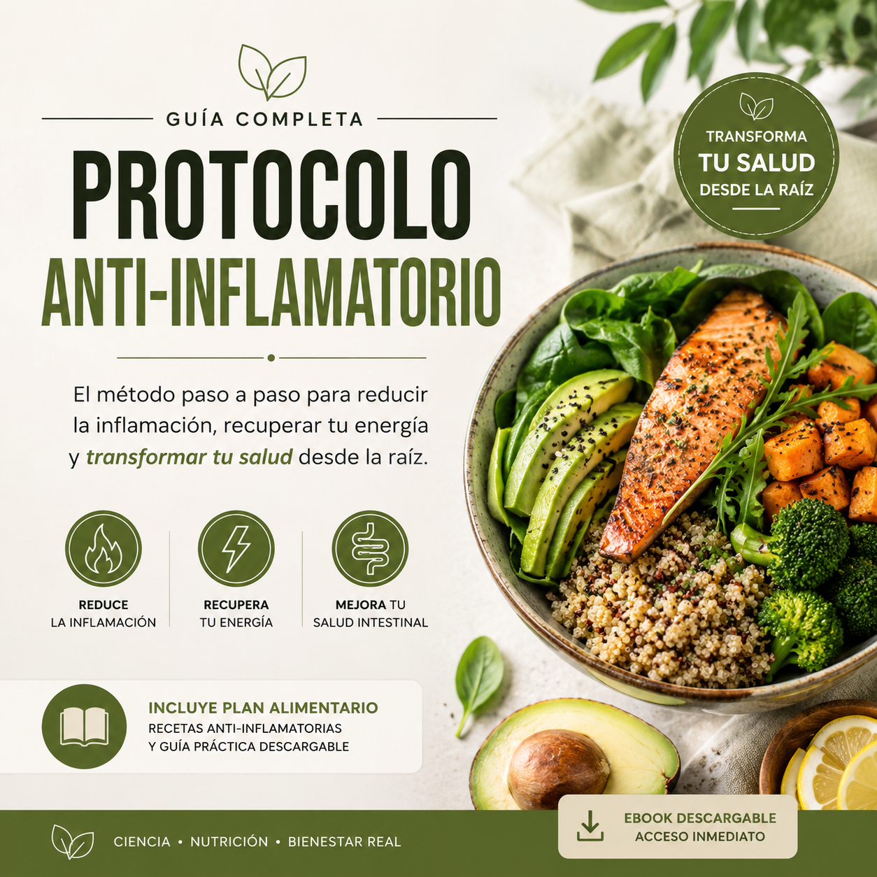 Protocolo Anti‑Inflamatorio: Plan de 21 Días contra el Cansancio Crónico
